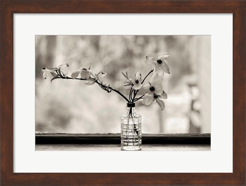 Framed Wild Dogwood Print