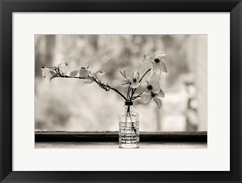 Framed Wild Dogwood Print