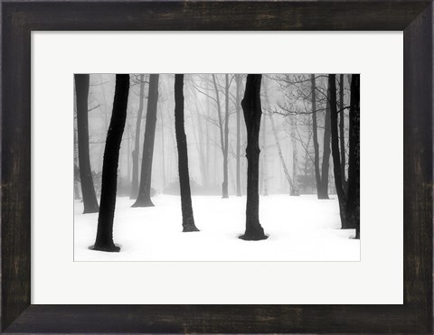 Framed Winter Fog Print