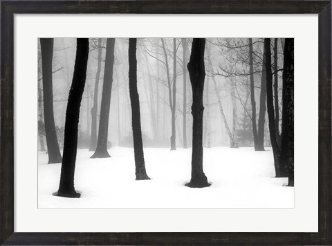 Framed Winter Fog Print