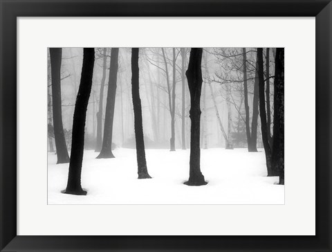 Framed Winter Fog Print