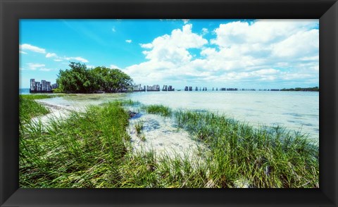 Framed Tropical Coastline Print