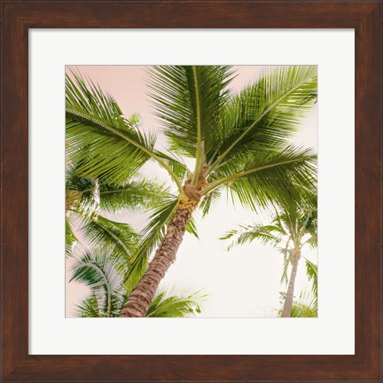 Framed Bright Oahu Palms II Print