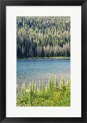 Framed Hidden Lake Print