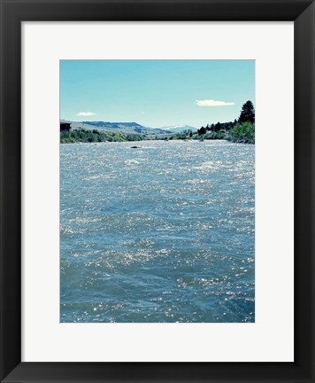 Framed Natures Beauty Print