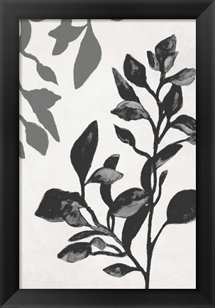 Framed Botanical In Noir I Print