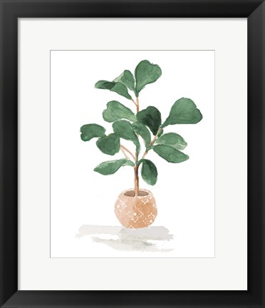 Framed Potted Fiddle Fig Tree I Print