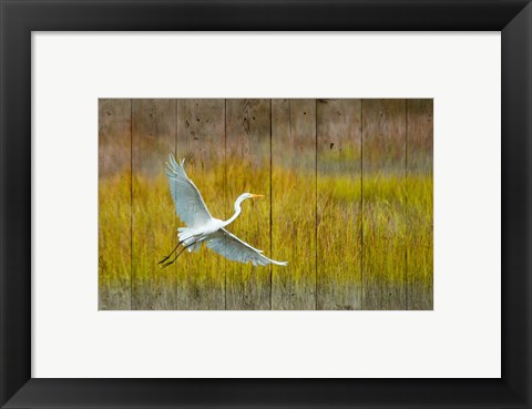 Framed Golden Hour Print