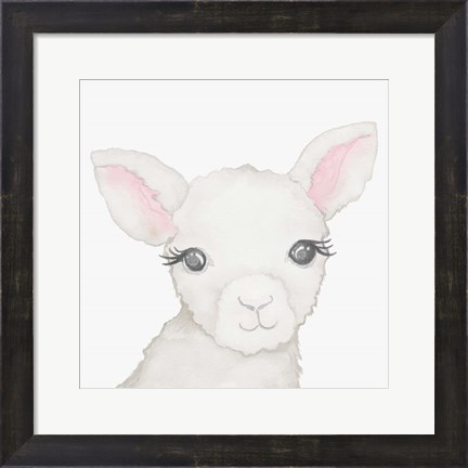 Framed Baby Lamb Print