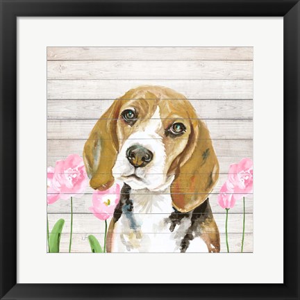 Framed Beagle With Flowers Print