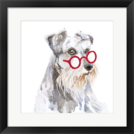 Framed Schnauzer With Glasses Print