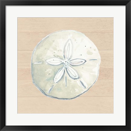 Framed Sand Dollar Print