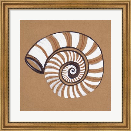 Framed Ocean World Shell Print