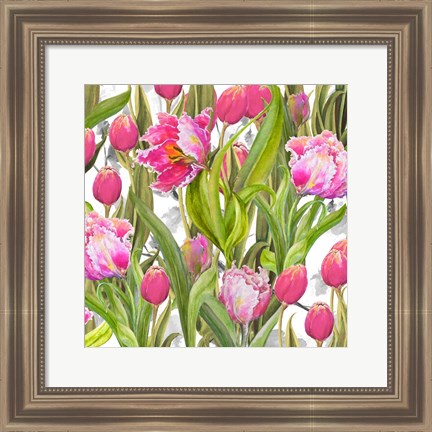 Framed Tulip Symphony I Print