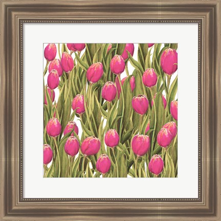 Framed Tulip Symphony II Print