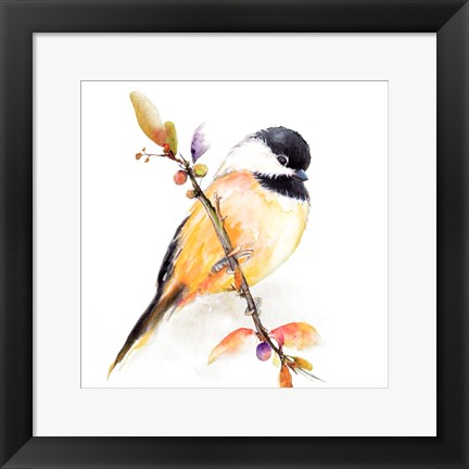 Framed Watercolor Chickadee I Print