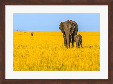 Framed Vibrant Africa Print