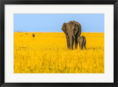 Framed Vibrant Africa Print