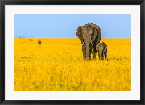 Framed Vibrant Africa Print