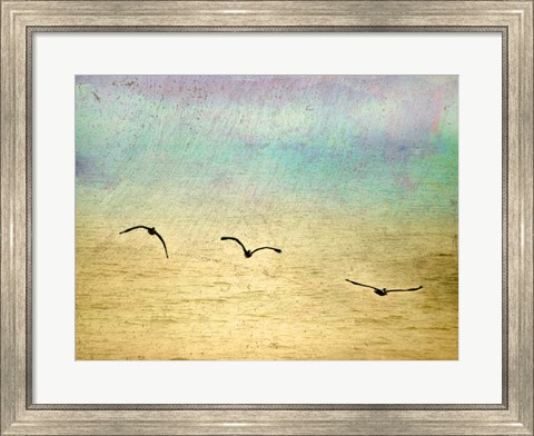 Framed Seagulls In The Sky II Print