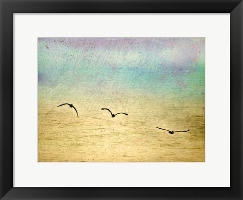 Framed Seagulls In The Sky II Print