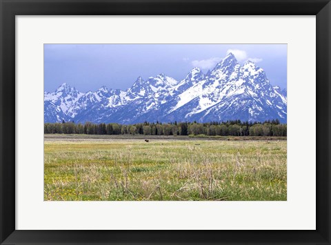 Framed Foothills Print