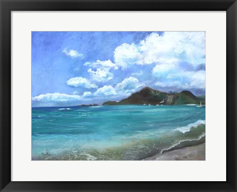 Framed Caribbean Splendor Print