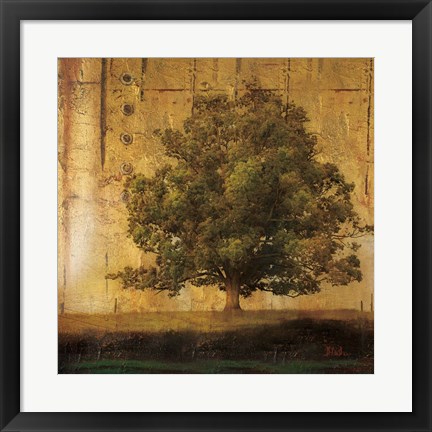 Framed Aged Tree I Print