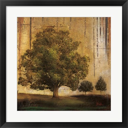 Framed Aged Tree II Print