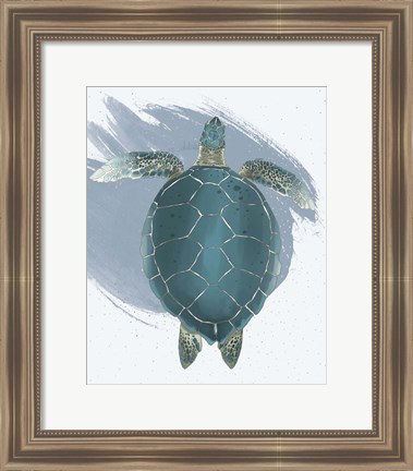 Framed Sea Turtle Print