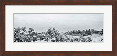 Framed Villa View Light Crop Print