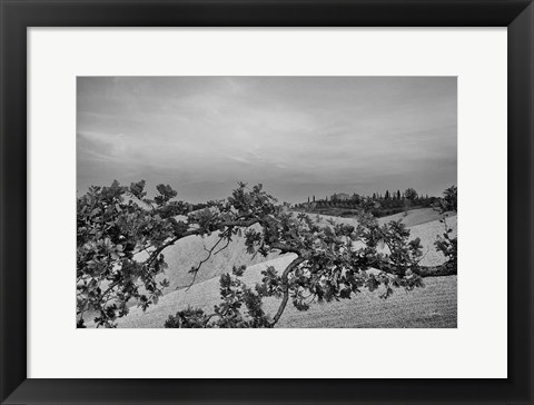 Framed Villa View Print