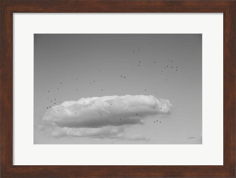 Framed Flock in Flight Print