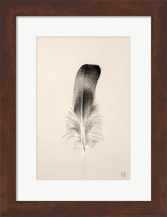 Framed Floating Feathers IV Sepia Print