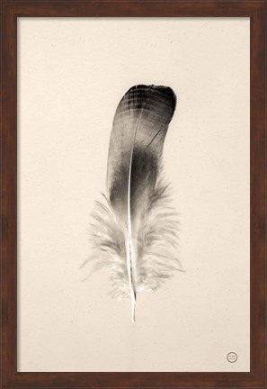 Framed Floating Feathers IV Sepia Print