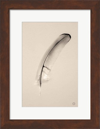 Framed Floating Feathers III Sepia Print