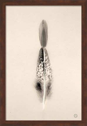 Framed Floating Feathers I Sepia Print