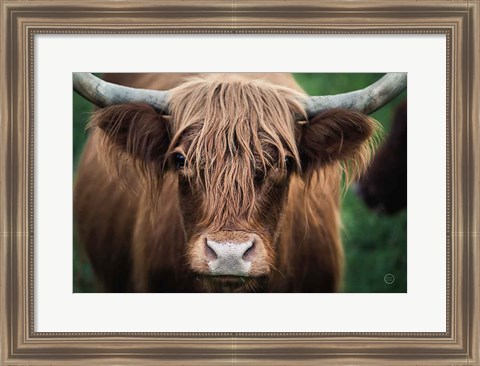 Framed Cow Nose Print