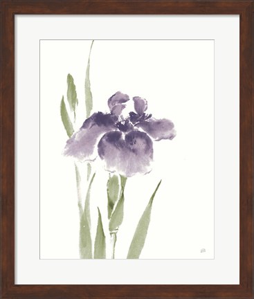 Framed Japanese Iris III Purple Crop Print