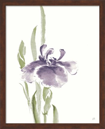 Framed Japanese Iris II Purple Crop Print