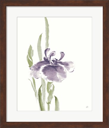 Framed Japanese Iris II Purple Crop Print