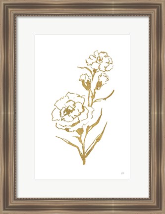 Framed Gold Line Carnation III Print