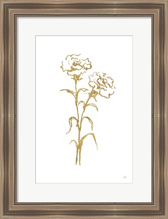 Framed Gold Line Carnation II Print