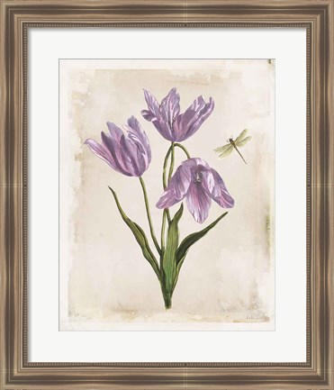 Framed Antiquarian Blooms III Purple Print