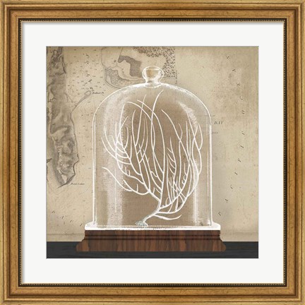 Framed Coral Cloche II Print