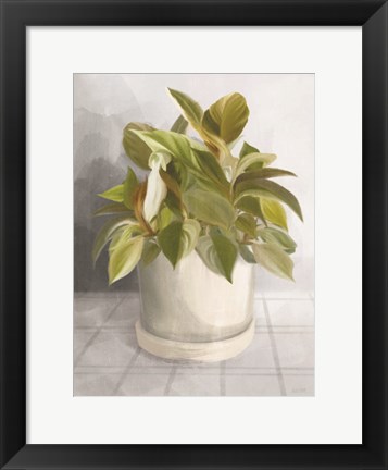 Framed Ironstone Planter I Print