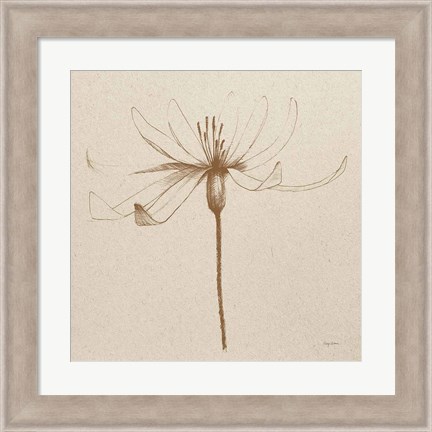 Framed Modern Vintage Floral III Print