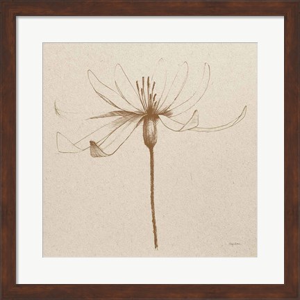 Framed Modern Vintage Floral III Print