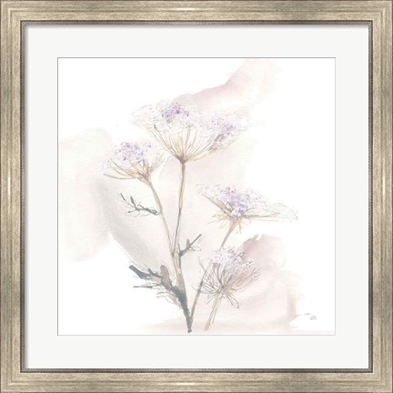 Framed Queen Annes Lace VI Print