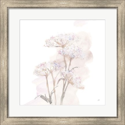 Framed Queen Annes Lace V Print